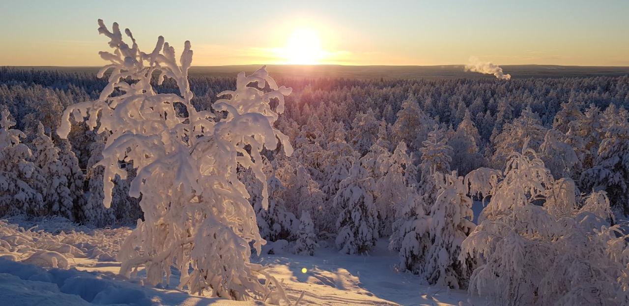 Villaski Rovaniemi Ngoại thất bức ảnh